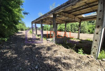 Teren intravilan 18.259 mp + construcție industrială, Mârșa - 2