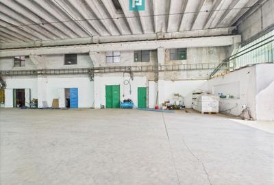 Complex industrial cu hale și teren  în Orțișoara - 1