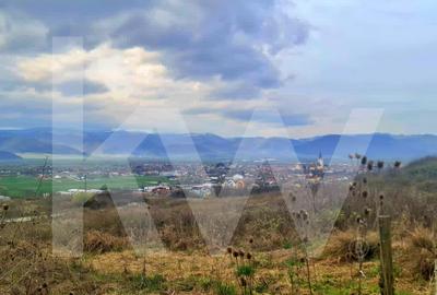 Apartament 3 camere, două băi, curte 50 mp -Natura la tine acasă! Cristian-SiBiU - 22