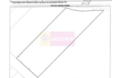 Vanzare teren intravilan agricol in zona Mihailesti, Giurgiu - 6