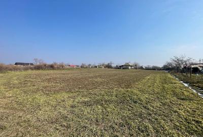 Teren pretabil Investitie in Comuna Daieni Bratul Macin Dunarea Veche Ostrov - 4