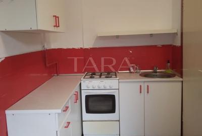 Apartament cu 1 Cameră și Curte – Gruia, Zonă de Case - 5