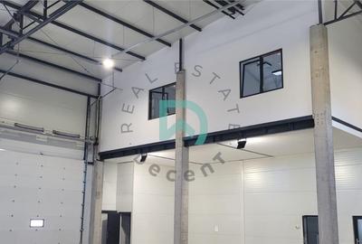 Hala industriala 300 mp Parc Industrial Prejmer,  Brasov - 9