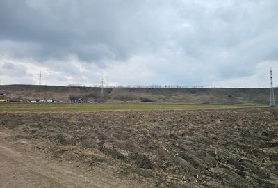 Oportunitate investitie – Teren intravilan in Bacau - 2