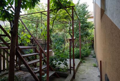 Andronache -vanzare casă si teren intravilan cu suprafata de 241 mp - 17
