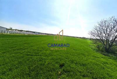 Teren intravilan 13.602 mp | Dragomiresti Vale | Sos. de Centura - 4