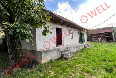 De vânzare casă în Dobolii de sus! - 15