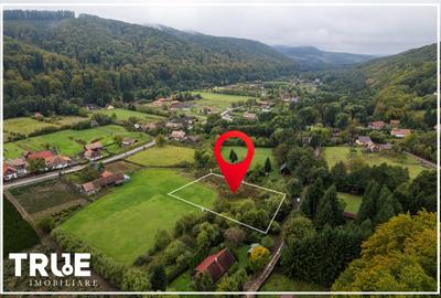 Teren intravilan Câmpul Cetății 2600m? - zonă de vacanță - 8