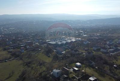 Teren 20.146 mp Dâmbu Rotund (Lomb).Extravilan.Potențial rezidențial - 6