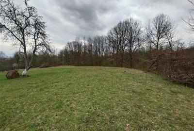 10 000 mp teren intravilan cu priveliste - 11