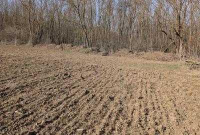 Vând teren în Fântânele - 1