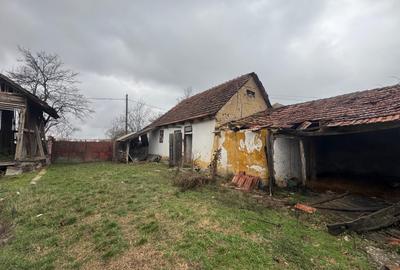 🏞️Casa langa Ineu, judetul Arad ! - 10