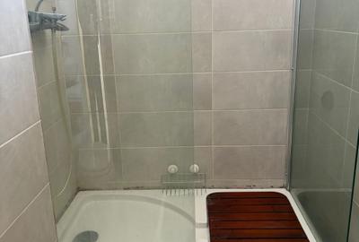 Apartament de 2 camere, 48 mp, pet friendly, centrala, balcon, Herastrau - 10