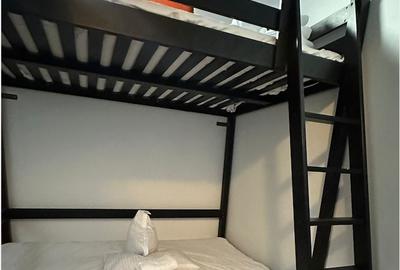 Vila la munte Brasov-Zarnesti, Piatra Craiului, Plaiul Foii, Gym, sauna, jacuzzi - 14