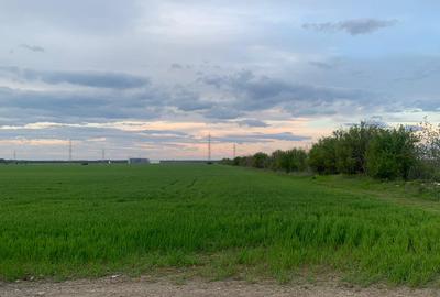 Stefanesti de Jos Suprafata de  3 Ha si  38 500mp -Dascau suprafata de  4,4 HA - 8