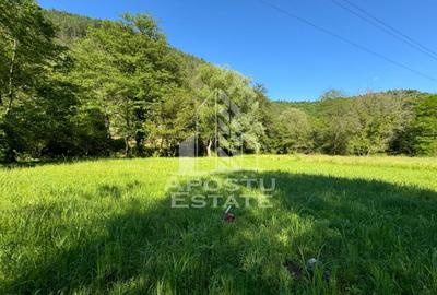 Teren de vanzare pe marginea raului, 1300mp, in Gros, Hunedoara - 5