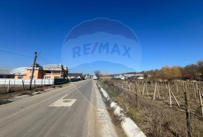 Teren intravilan Movilita, 2700mp - 3