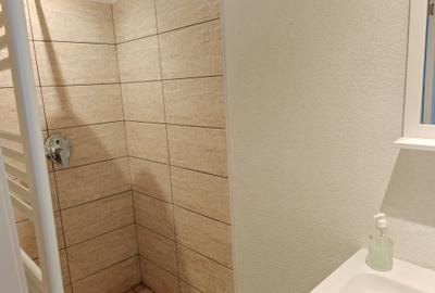 Apartament 4 camere renovat, 3 unitati regim hotelier zona Centrul Istoric - 14