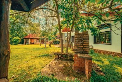 Casa superba cu vedere la lac in Izvorani – piscina, natura,si potential imens! - 19