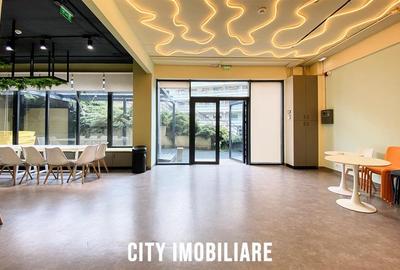 Spatiu comercial 250 mp + terasa 70 mp, Grigorescu, Parter, Ideal HoReCa   Showr - 19