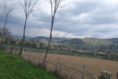OPORTUNITATE UNICĂ ÎN TOMȘANI (LÂNGĂ HOREZU) – ANSAMBLU TERENURI 9.364 MP - 7