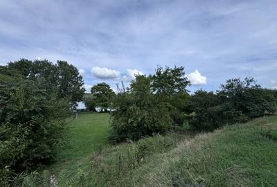 Hotel 25 camere 100 m deschidere DELTA DUNARII teren 12000 mp acces auto - 14