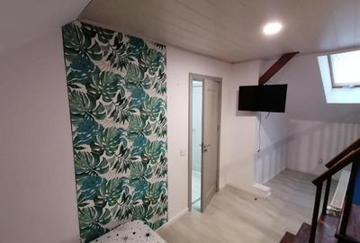 Apartament cu 3 camere - curte cu foisor + spatiu parcat masina - 8