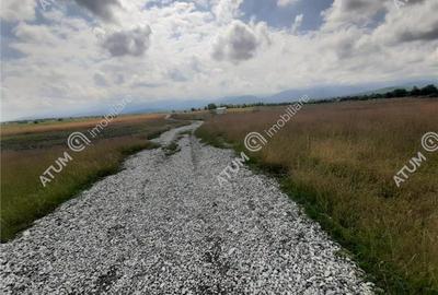Teren Intravilan in Avrig zona Valea Avrigului 8900 metri - 3