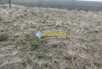 TEREN INTRAVILAN I 800 MP I IGHIU I LATIME 29 ML I IDEAL CASA SAU CABANA I - 4