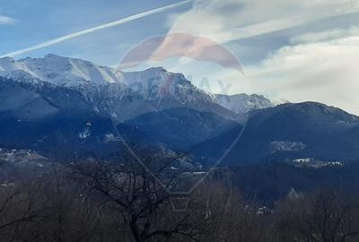 Teren 10,279 mp Bran- Predelut / Strada Pe Tarina nr. 70A - 3