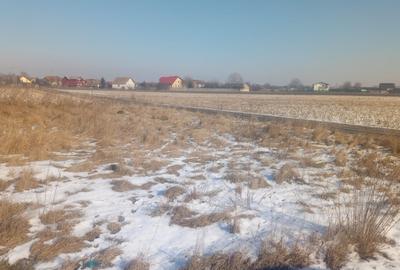 Teren intravilan 532 mp in Bod - 1