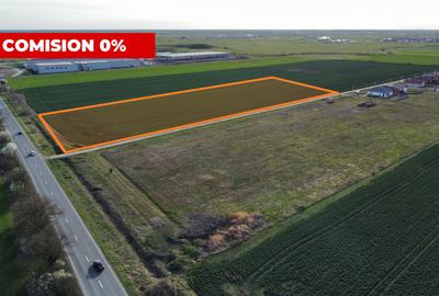 Teren Construcții intravilan de 4923 mp, în Sânandrei