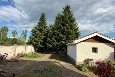 Casa Puchenii Mari, teren intravilan 5,000 mp2. - 7