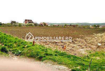Teren 5800 mp,150m de Aeroport deschidere 58m la E60,20 euro - 6