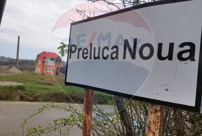 Casă de vacanță cu teren generos, de vânzare în Preluca Nouă!! - 3