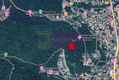 Teren de vanzare in Predeal - 2