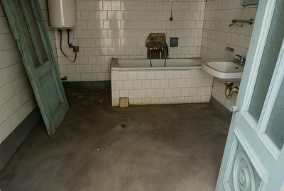 Casă interbelică cu dublu potențial – Zona Cantacuzino, Ploiești - 15