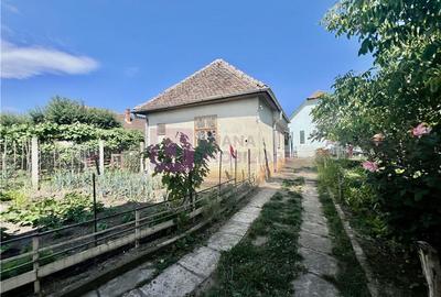 Casa de vanzare  | 2 constructii | 540 mp teren |  zona Lupeni | pivnita - 10