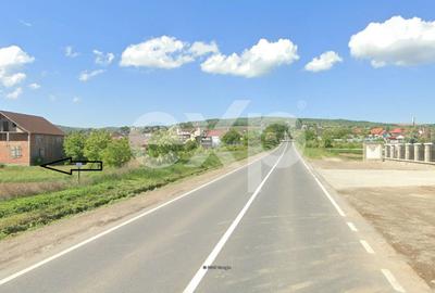 Teren intravilan 4514 mp de vanzare, Luizi Calugara - 3