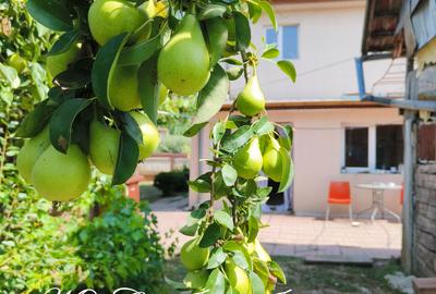 VILA-5 camere-in Gruiu, jud. Ilfov - 1