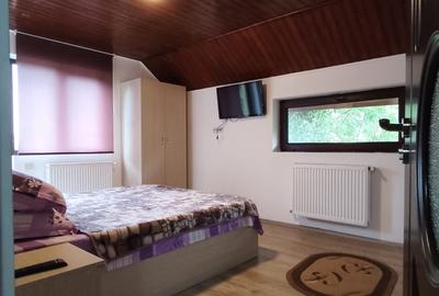 FARA COMISIOANE PENSIUNE cu 7 camere si 6 bai P+E garaj 2 terase gaze curent apa - 17