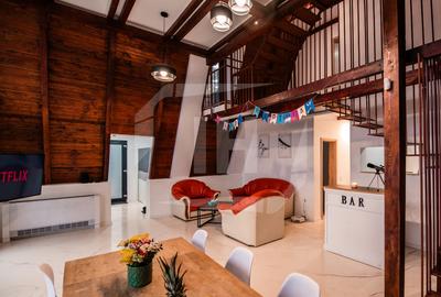 Cabana A-frame 5 camere la Belis / Business functional si profitabil - 3