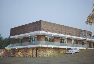 Cladire Comerciala Moderna Paun Bucium - 1