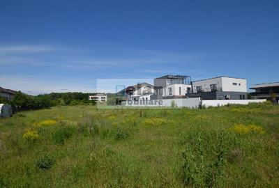 Voluntari - Matei Millo Teren 420 Mp Utili, Deschidere 14 Ml - 4