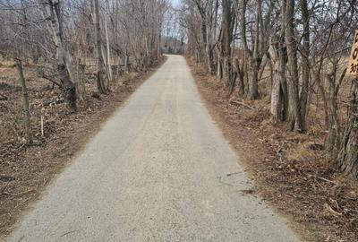 Teren intravilan de vanzare in Cornu de Jos - 6