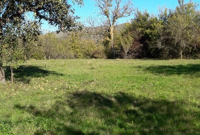 Teren intravilan în sat Făget, com. Drajna, Prahova - 6