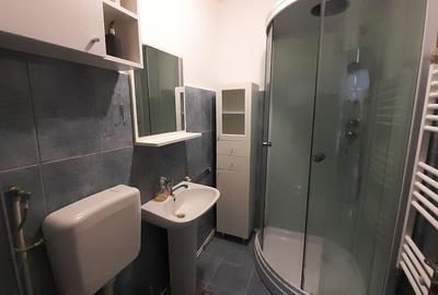 Apartament 2 camere central parter de inchiriat - 5