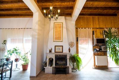 VANZARE / SCHIMB  PENSIUNE in zona de munte, langa Pestera Muierilor - 9