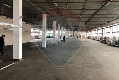 Hala 400 m productie - depozitare  – Lift 3t, Acces TIR, zona Aeroport - 5