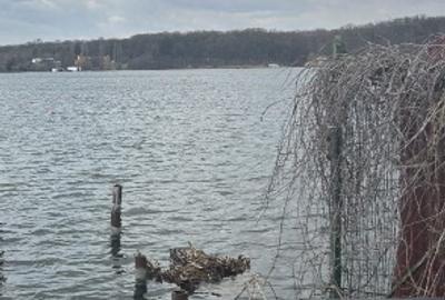 Vând Casă cu ieșire directa la lacul Snagov - 10